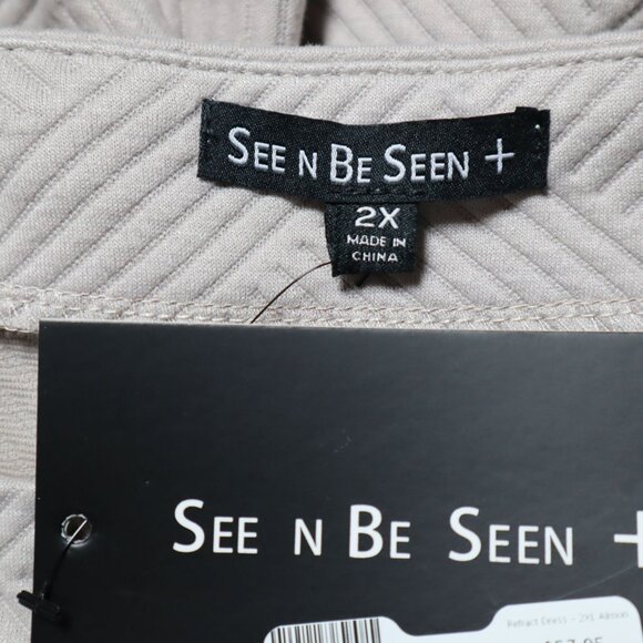 See N Be Seen Dress Womens 2X Taupe Romantic Career Night Out Brunch Event NWT - Picture 2 of 10